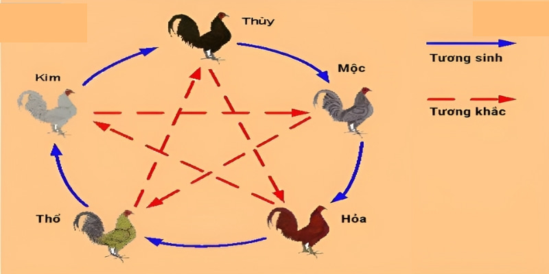 Vào hội nhóm học hỏi cách đá gà hiệu quả